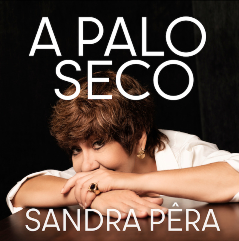 Capa do single A Palo Seco