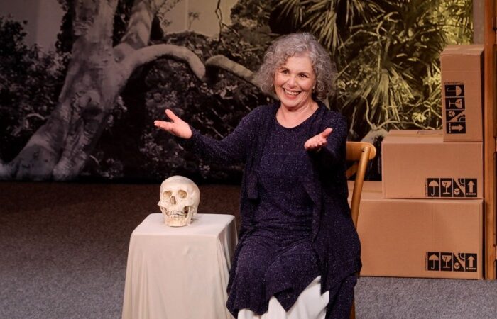 Irene Ravache sobre os 65 anos de carreira: "Tenho orgulho da minha história, tenho sido feliz" (Foto: João Caldas)