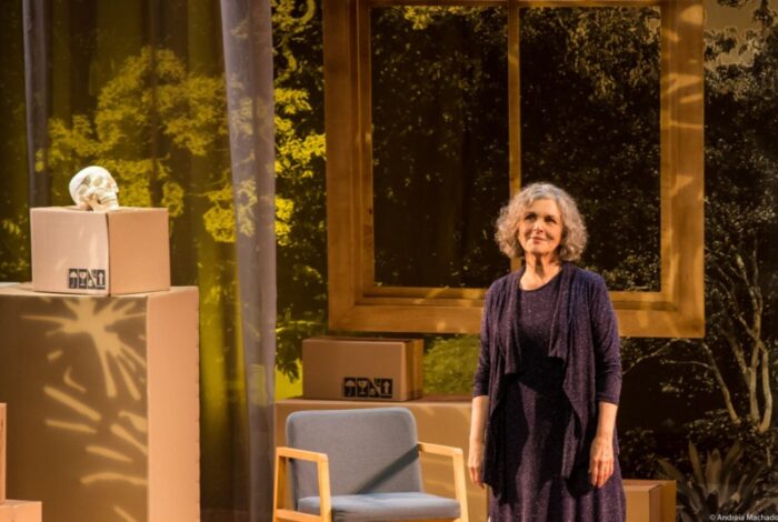  "Tenho orgulho de ter feito muitas autoras brasileiras no teatro. Fiz mais autoras que autores. E isso foi algo consciente" (Foto: João Caldas)