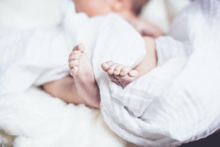 Mães de pet X mães de bebê reborn: a linha tênue entre cuidado e projeção