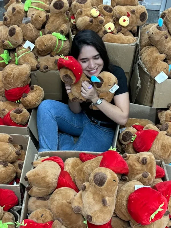 As capivaras são o momento e estão em produtos de todas as lojas, inclusive pelúcias fofas (Reprodução/X)