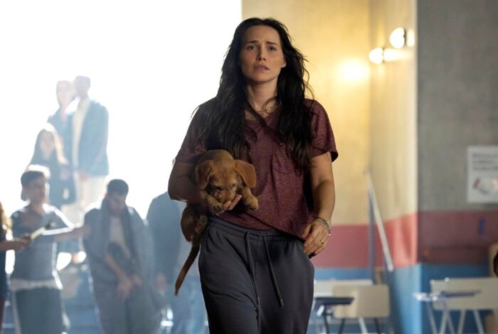 "Certamente haverá conexão com o que temos de mais humano: a empatia diante da tragédia e a liberdade dos injustiçados" (Foto: Divulgação/Globo)